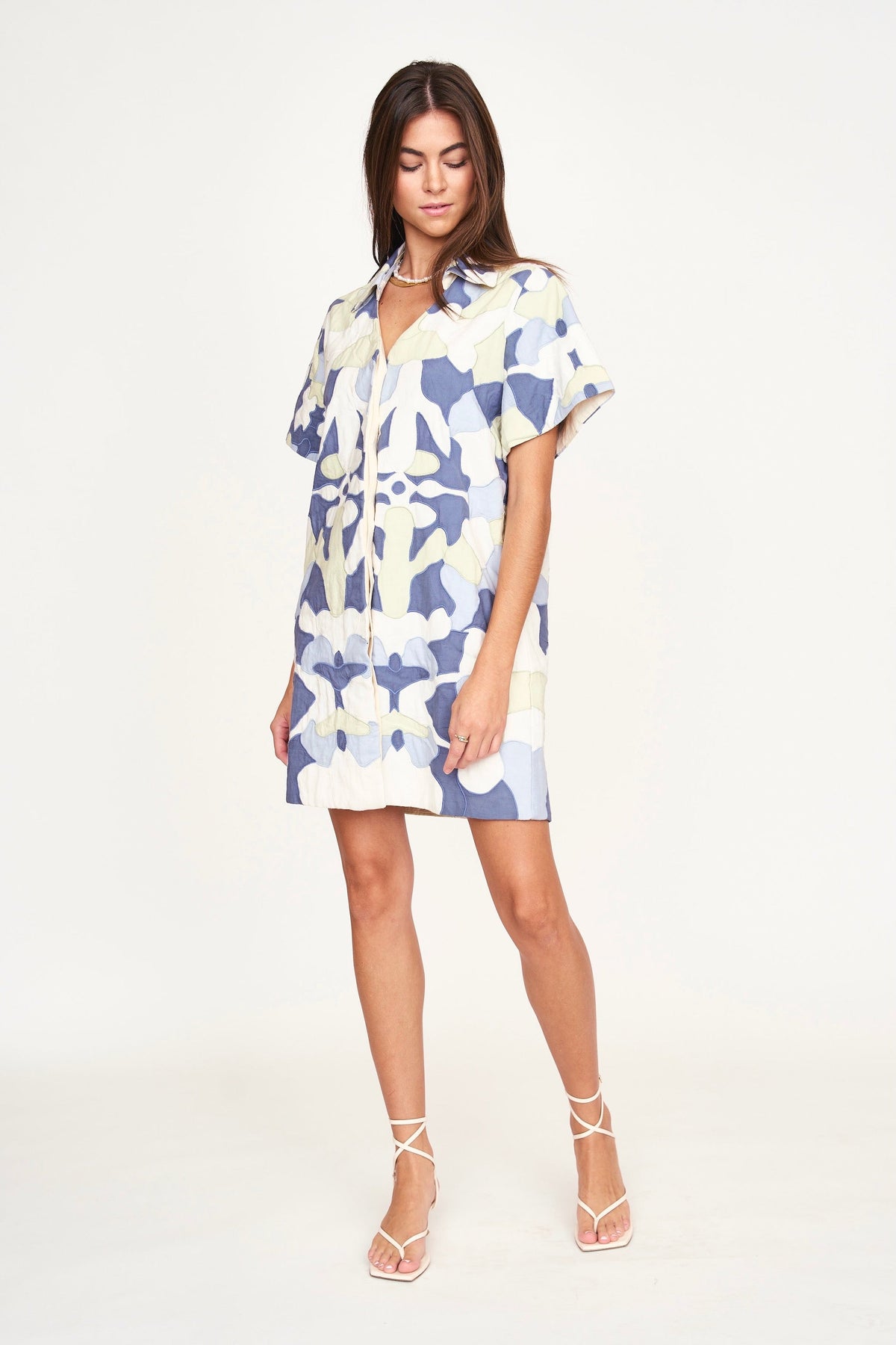 Dress in covered front button placket
