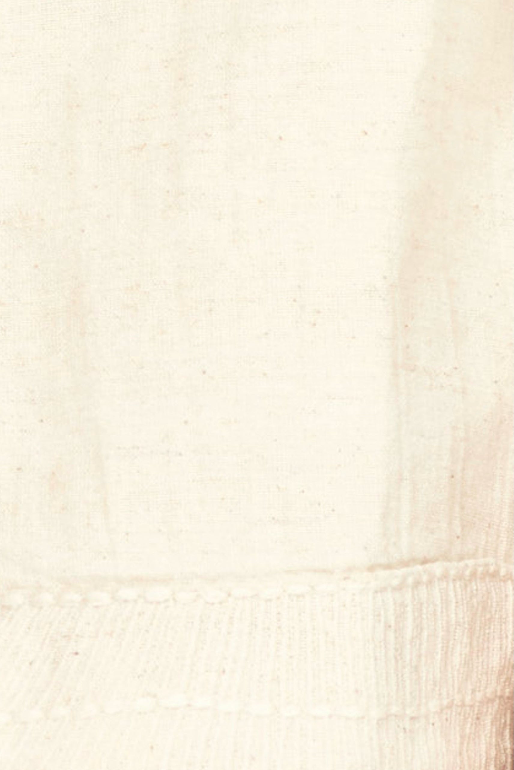 Top in Oat Fossil